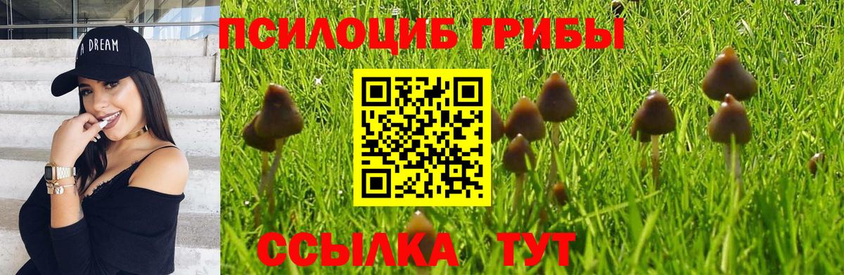 Галлюциногенные грибы мухоморы Троицк